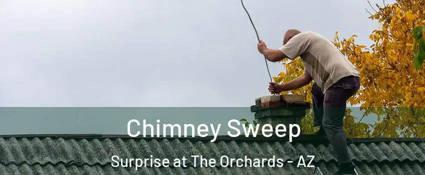 Chimney Sweep Surprise at The Orchards - AZ