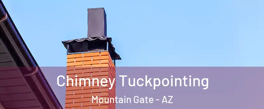 Chimney Tuckpointing Mountain Gate - AZ