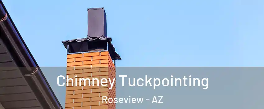 Chimney Tuckpointing Roseview - AZ