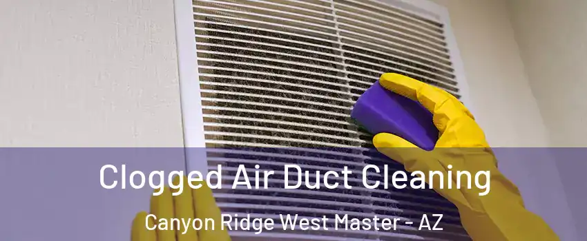 Clogged Air Duct Cleaning Canyon Ridge West Master - AZ