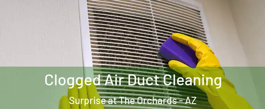 Clogged Air Duct Cleaning Surprise at The Orchards - AZ