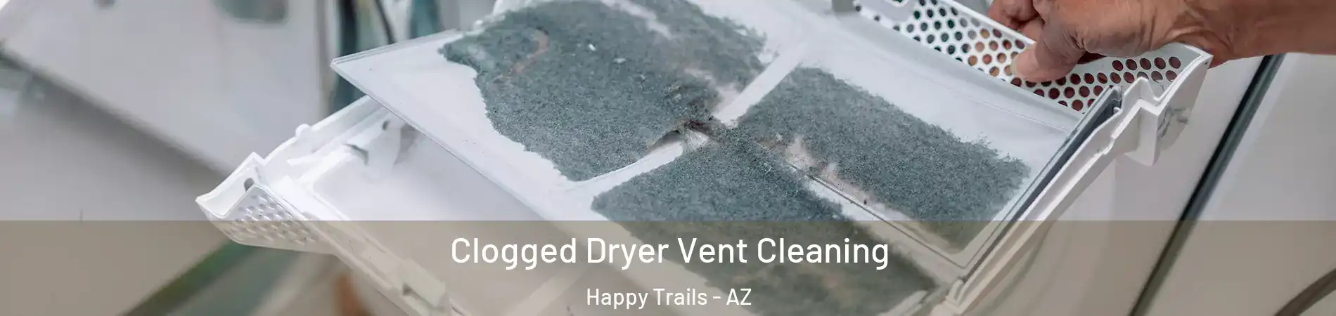 Clogged Dryer Vent Cleaning Happy Trails - AZ