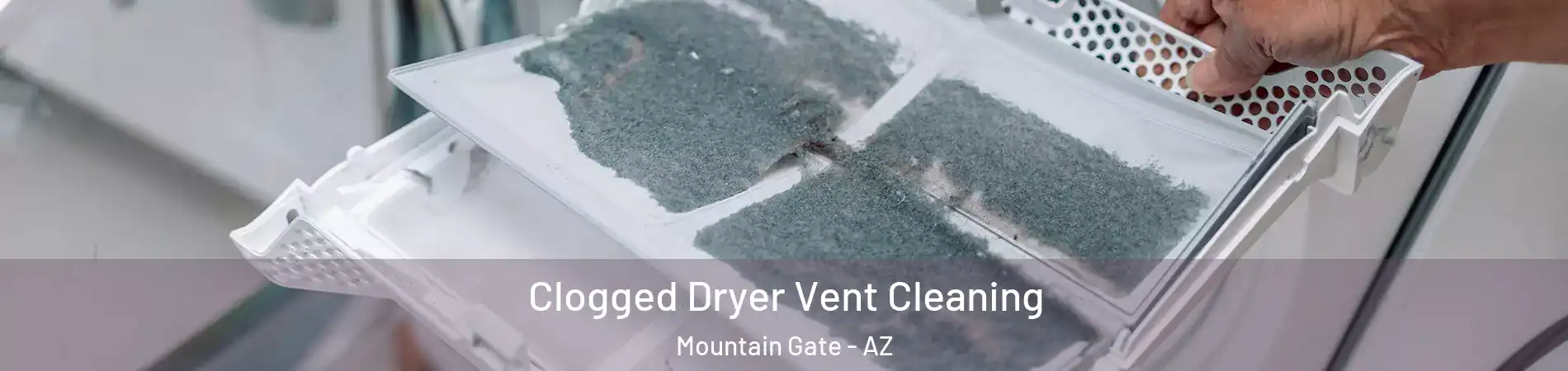 Clogged Dryer Vent Cleaning Mountain Gate - AZ