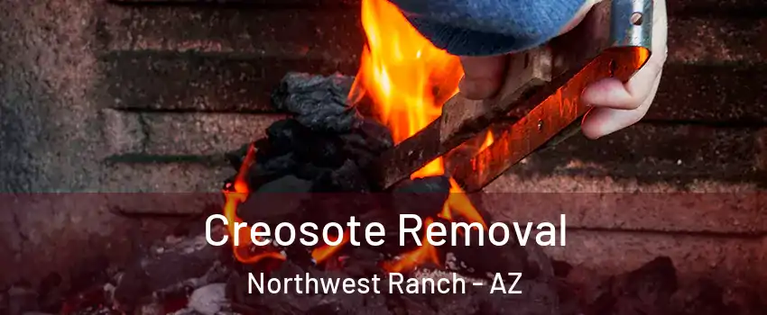 Creosote Removal Northwest Ranch - AZ
