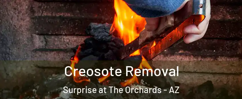 Creosote Removal Surprise at The Orchards - AZ
