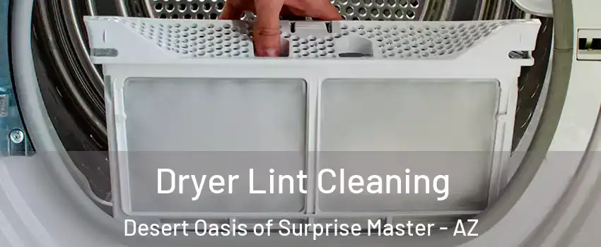 Dryer Lint Cleaning Desert Oasis of Surprise Master - AZ