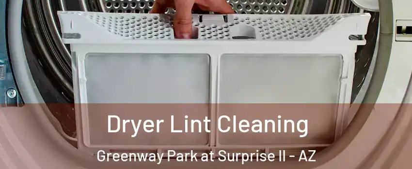 Dryer Lint Cleaning Greenway Park at Surprise II - AZ