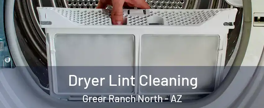 Dryer Lint Cleaning Greer Ranch North - AZ