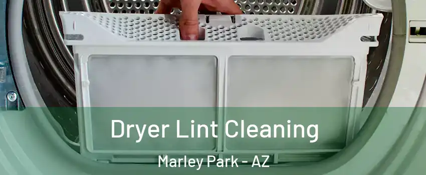 Dryer Lint Cleaning Marley Park - AZ