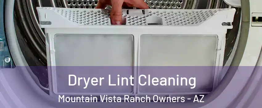 Dryer Lint Cleaning Mountain Vista Ranch Owners - AZ