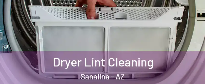 Dryer Lint Cleaning Sanalina - AZ