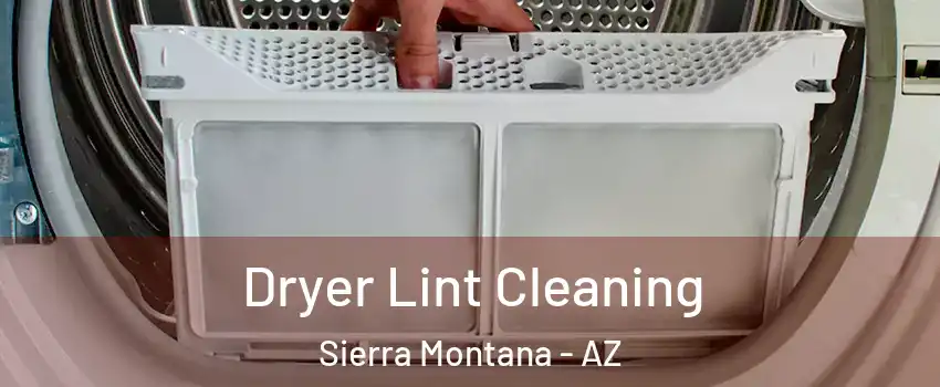 Dryer Lint Cleaning Sierra Montana - AZ