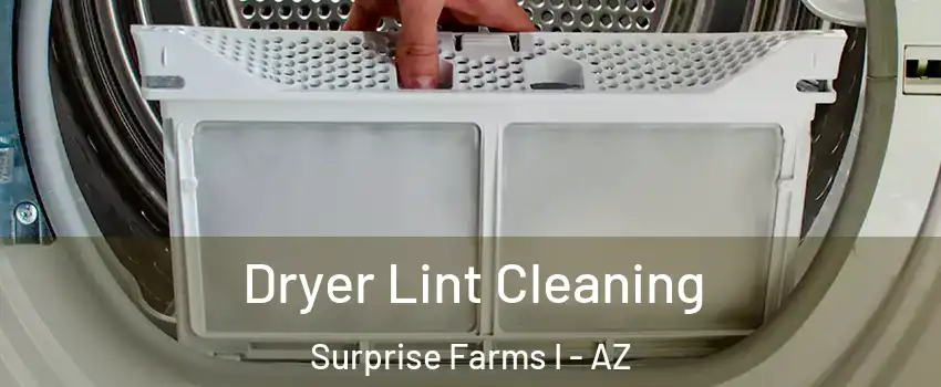Dryer Lint Cleaning Surprise Farms I - AZ