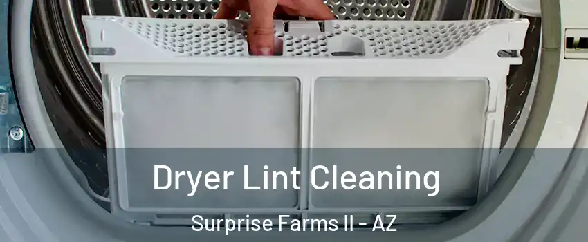 Dryer Lint Cleaning Surprise Farms II - AZ