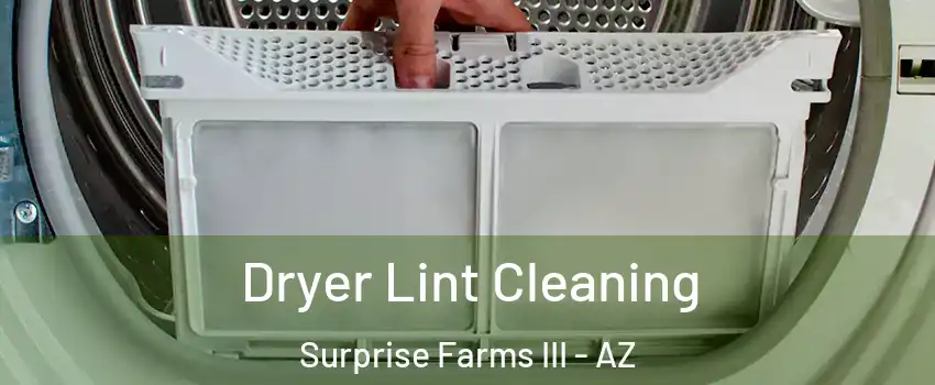 Dryer Lint Cleaning Surprise Farms III - AZ