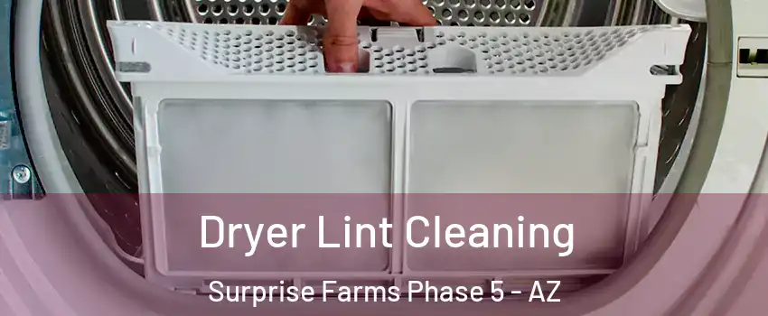 Dryer Lint Cleaning Surprise Farms Phase 5 - AZ