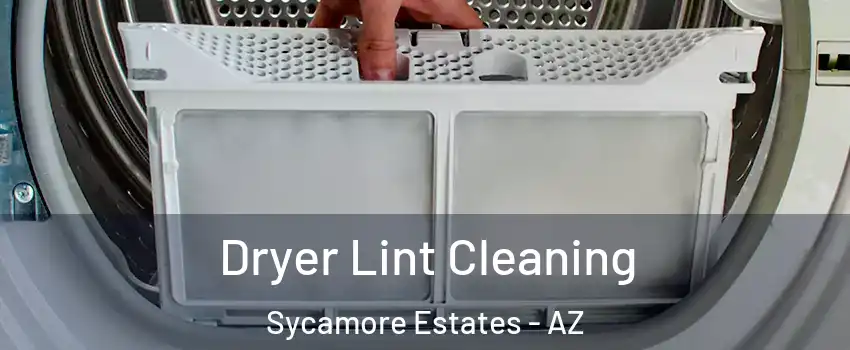 Dryer Lint Cleaning Sycamore Estates - AZ