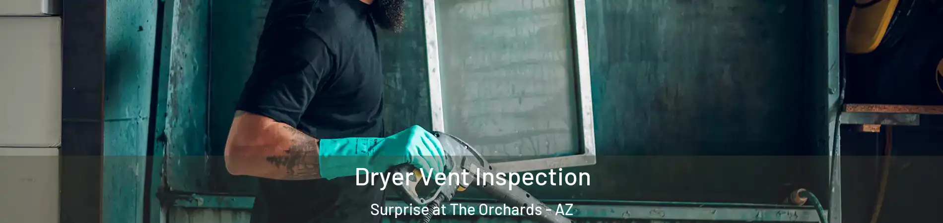 Dryer Vent Inspection Surprise at The Orchards - AZ