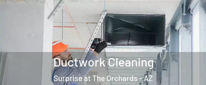 Ductwork Cleaning Surprise at The Orchards - AZ