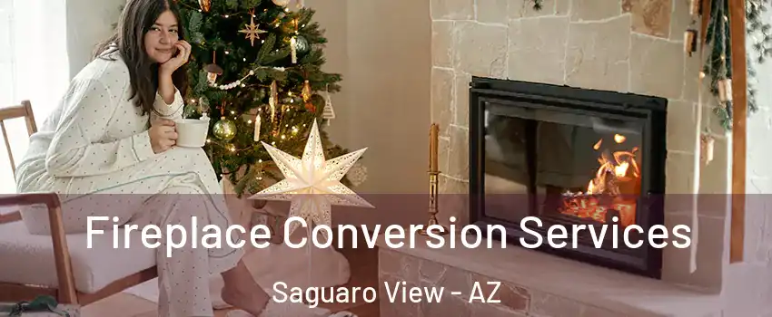 Fireplace Conversion Services Saguaro View - AZ