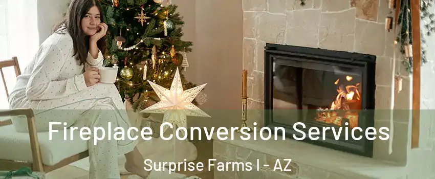 Fireplace Conversion Services Surprise Farms I - AZ