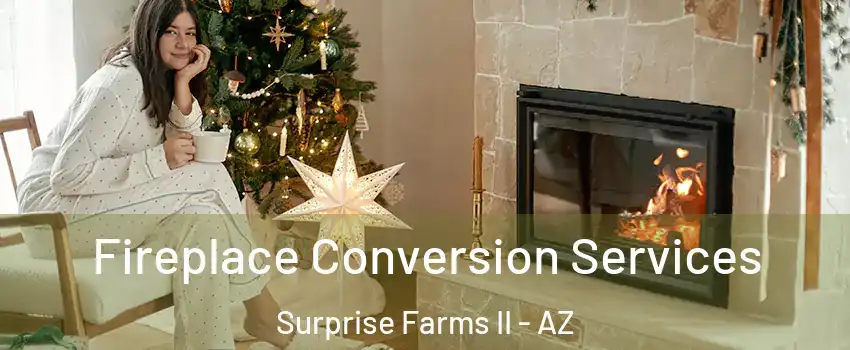 Fireplace Conversion Services Surprise Farms II - AZ