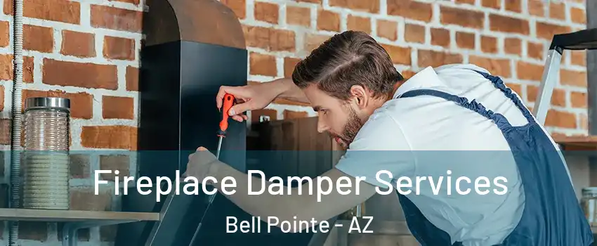 Fireplace Damper Services Bell Pointe - AZ