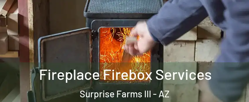 Fireplace Firebox Services Surprise Farms III - AZ