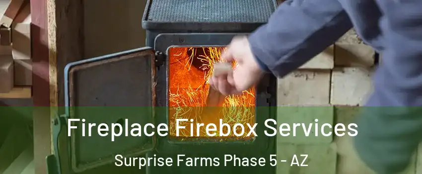 Fireplace Firebox Services Surprise Farms Phase 5 - AZ