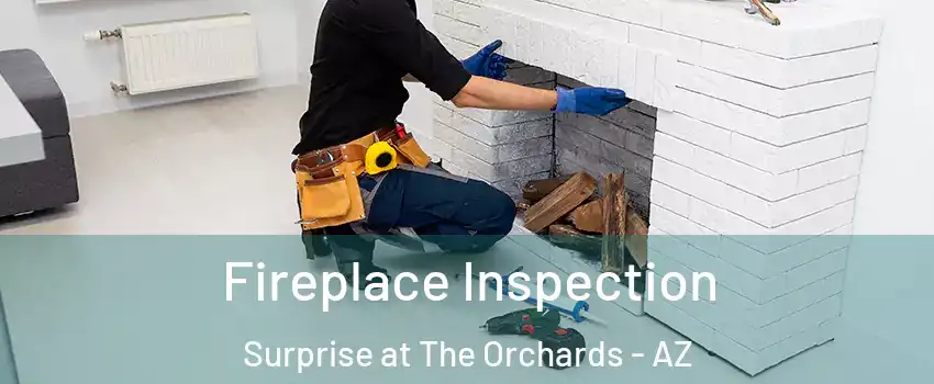 Fireplace Inspection Surprise at The Orchards - AZ