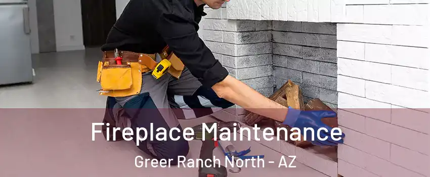 Fireplace Maintenance Greer Ranch North - AZ