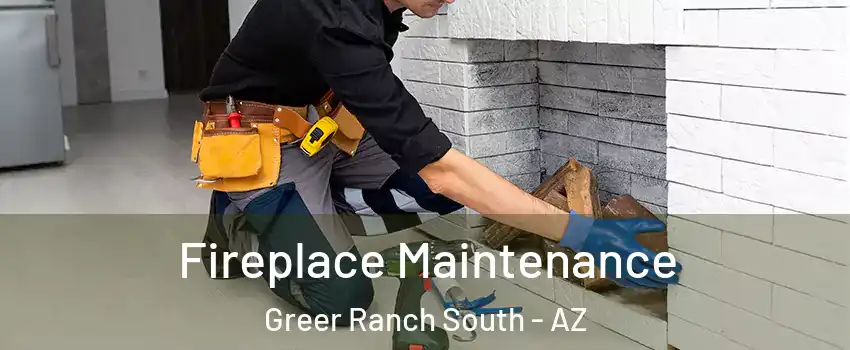 Fireplace Maintenance Greer Ranch South - AZ