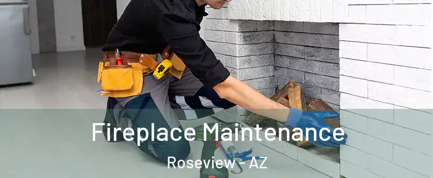 Fireplace Maintenance Roseview - AZ