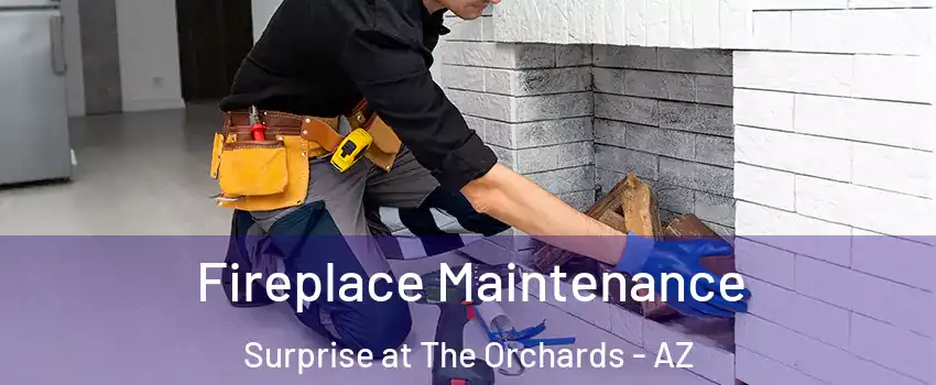 Fireplace Maintenance Surprise at The Orchards - AZ