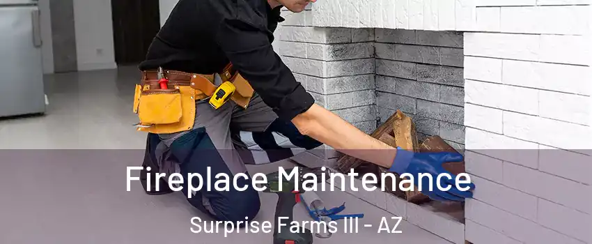 Fireplace Maintenance Surprise Farms III - AZ