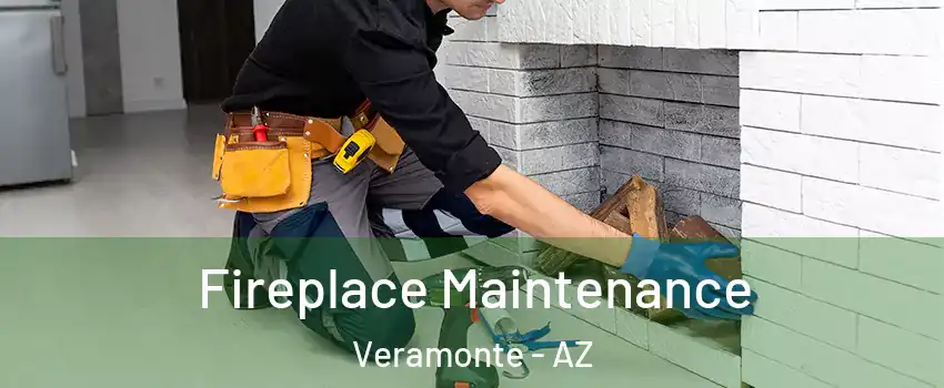 Fireplace Maintenance Veramonte - AZ