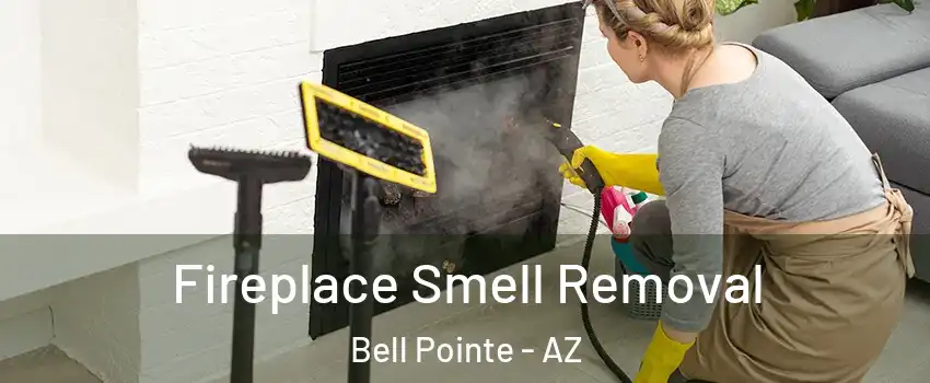 Fireplace Smell Removal Bell Pointe - AZ