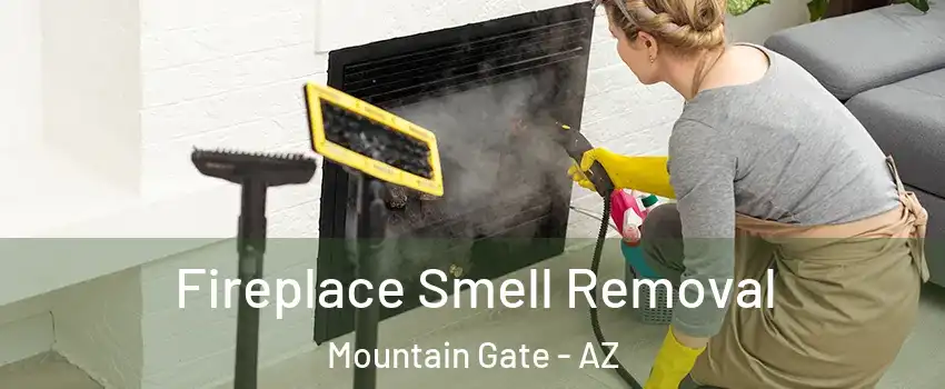 Fireplace Smell Removal Mountain Gate - AZ
