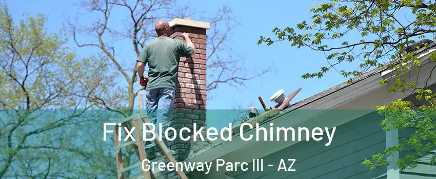 Fix Blocked Chimney Greenway Parc lll - AZ