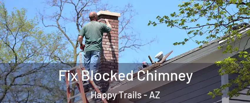 Fix Blocked Chimney Happy Trails - AZ