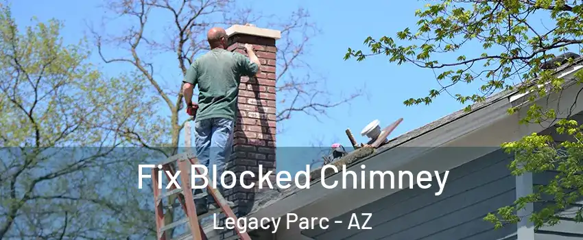 Fix Blocked Chimney Legacy Parc - AZ