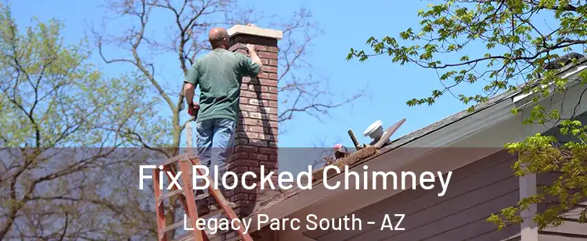 Fix Blocked Chimney Legacy Parc South - AZ
