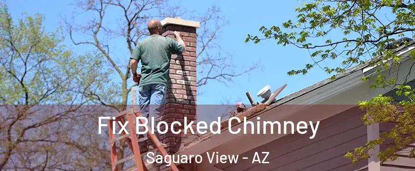 Fix Blocked Chimney Saguaro View - AZ