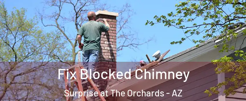 Fix Blocked Chimney Surprise at The Orchards - AZ
