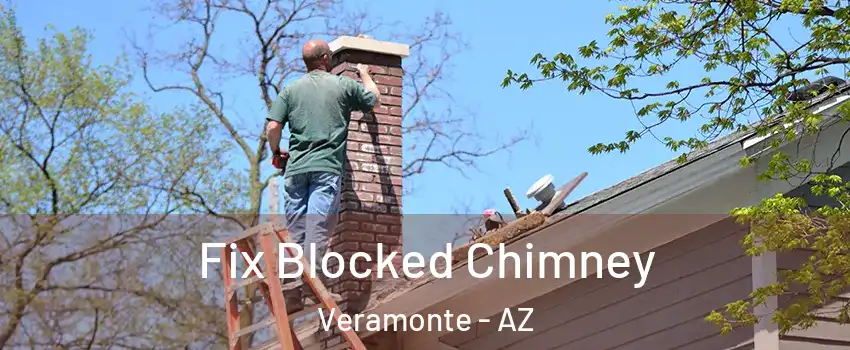 Fix Blocked Chimney Veramonte - AZ