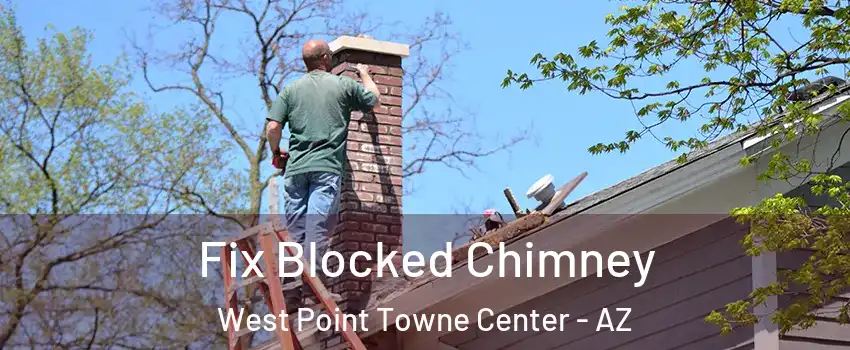 Fix Blocked Chimney West Point Towne Center - AZ