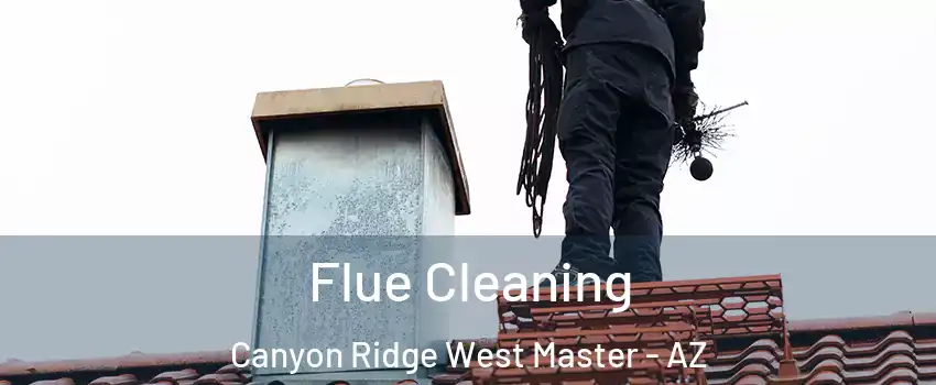 Flue Cleaning Canyon Ridge West Master - AZ