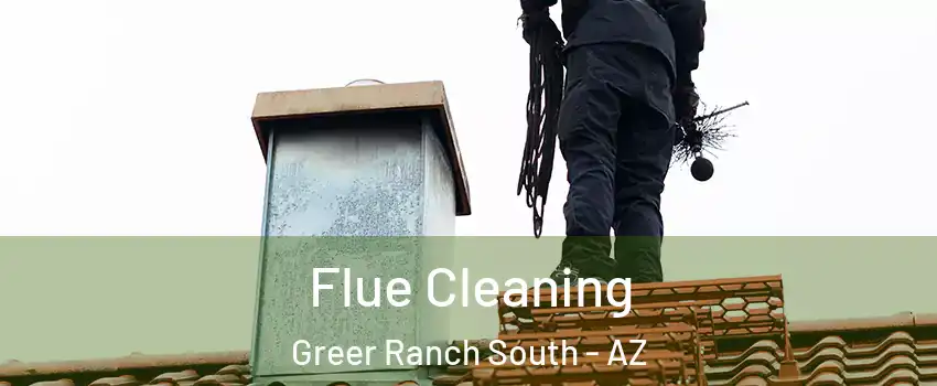 Flue Cleaning Greer Ranch South - AZ