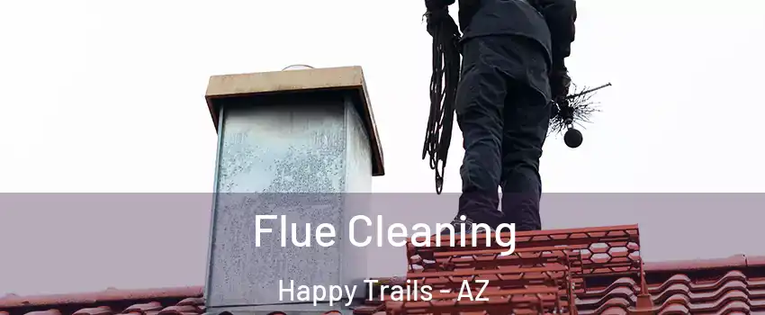 Flue Cleaning Happy Trails - AZ