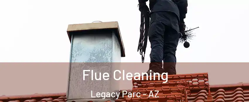 Flue Cleaning Legacy Parc - AZ